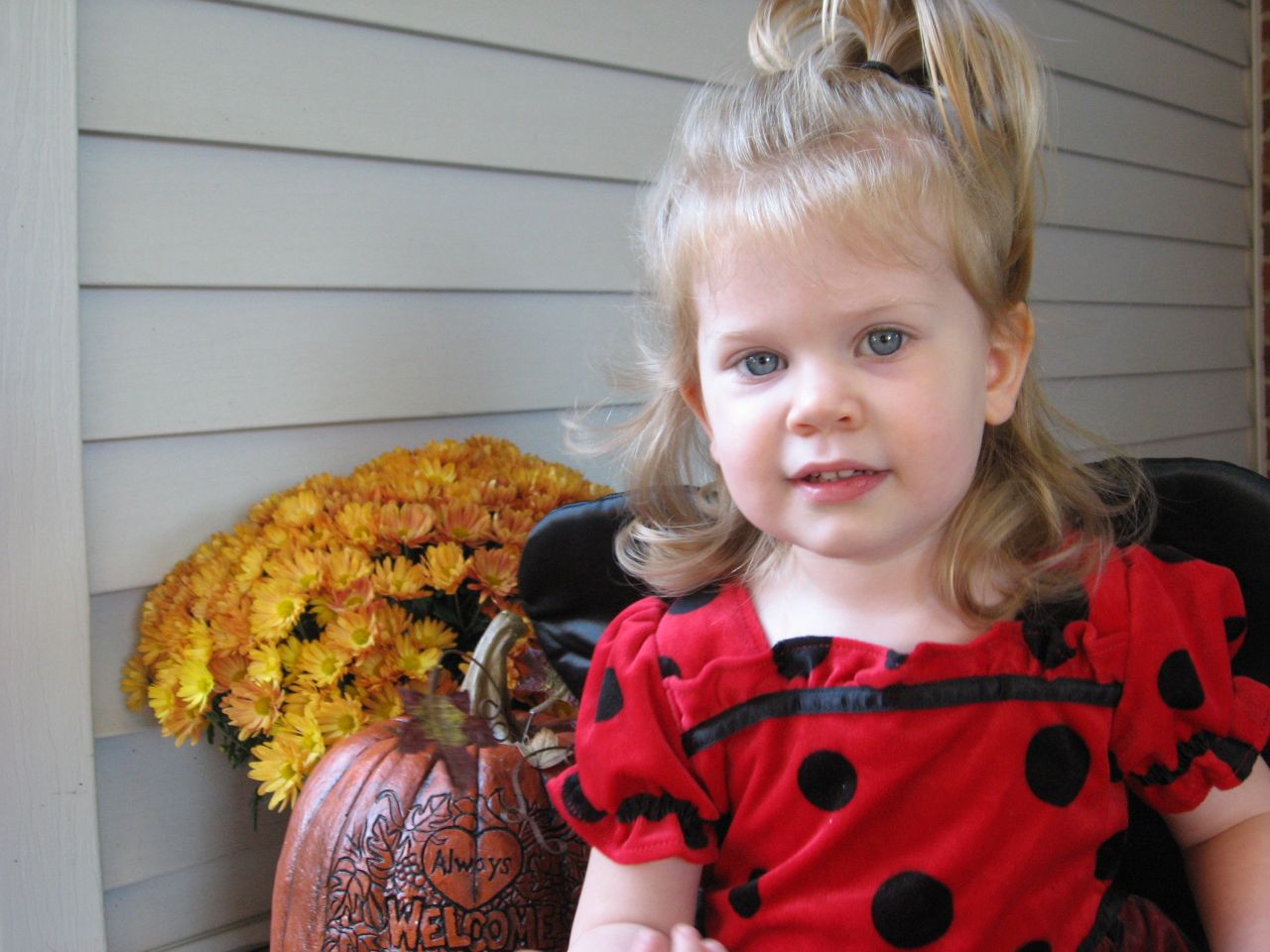 Amelia in her Ladybug Costume