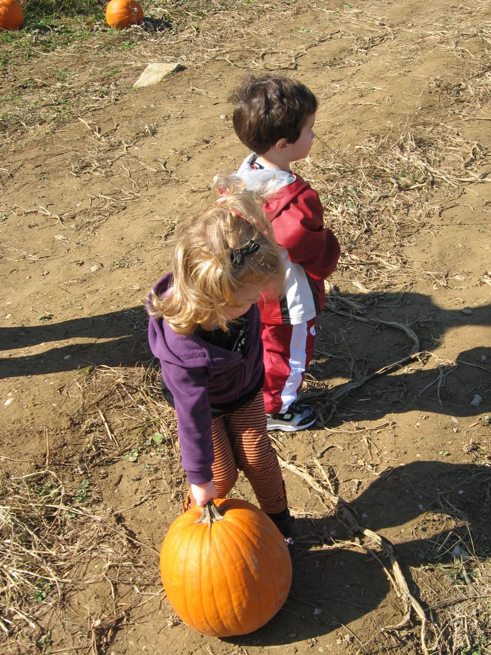 Amelia and Nathan in the Pumpkin Patch